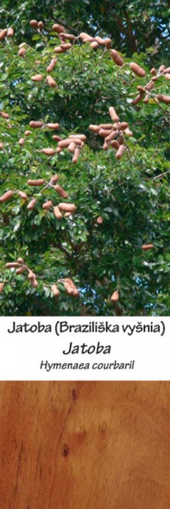 Jatoba (braziliška vyšnia) | Adomo medis