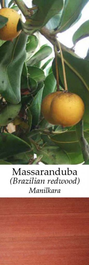 Massaranduba | Adomo medis